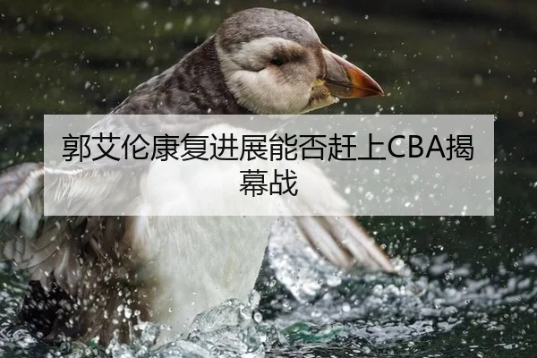 郭艾伦康复进展能否赶上CBA揭幕战